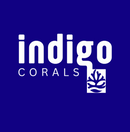 Indigo Corals